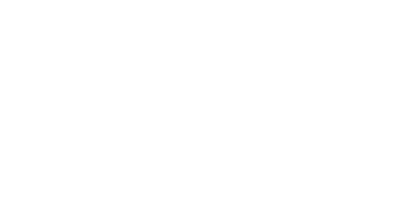 Russian Rainwales logo