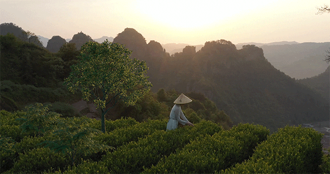 3D vegetation by Andy Gener